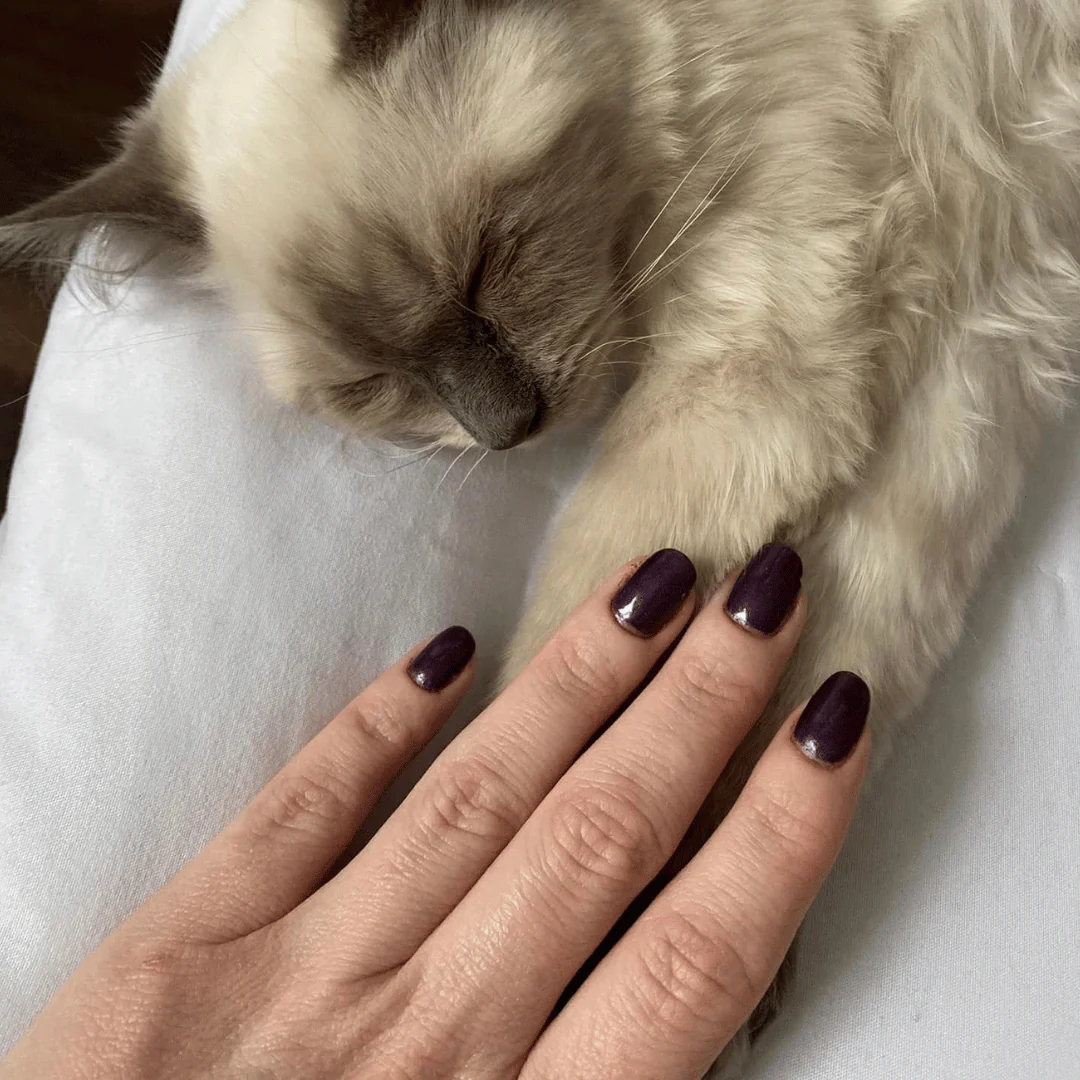 Boysenberry - Classic Nail Powder - Image 4