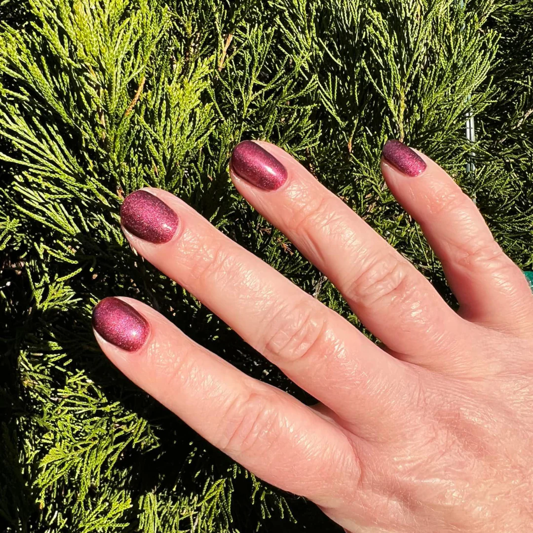 Wine - Classic Nail Powder - Image 5